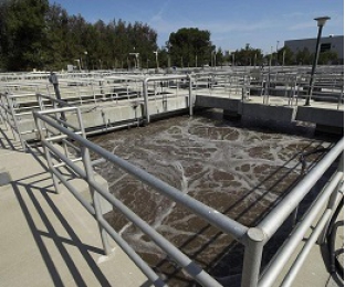 为什么目前污水处理厂的生化系统普通脱氮效果差