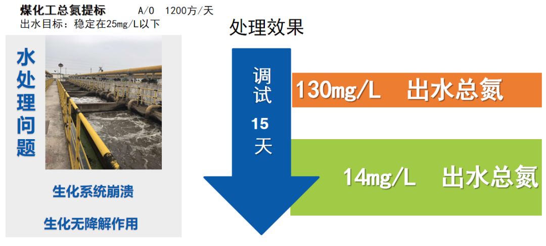 库巴鲁微生物降解案例