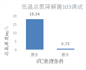 低温总氮降解菌103调试案例