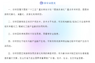 “铝灰/副产盐酸资源化利用项目”专家论证会