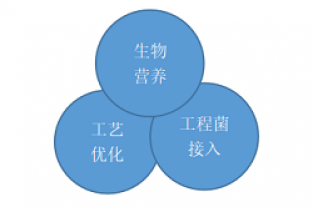 非工程改造-库巴鲁总氮提标技术—长隆科技