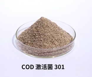库巴鲁®COD激活菌301—长隆科技