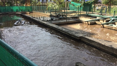 城镇污水除氮除磷