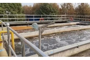 污水处理中氨氮超标的原因及解决办法